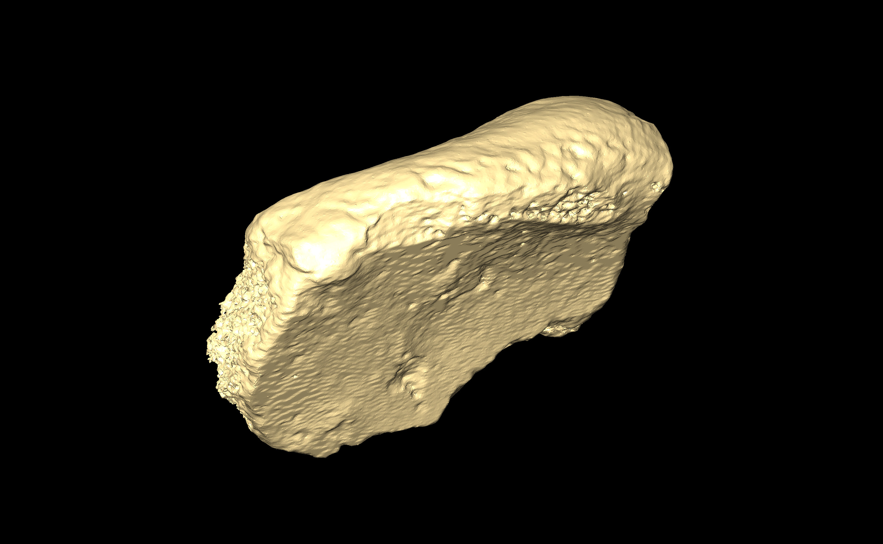 MNHN-HA-4316 (N° SV: 4316b) Os coxae