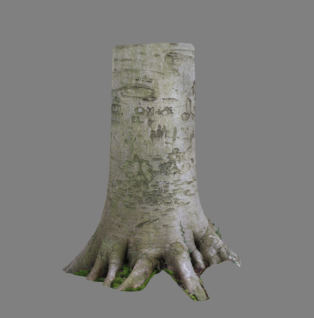 Arboglyphes_Vittefleur_arbre_23