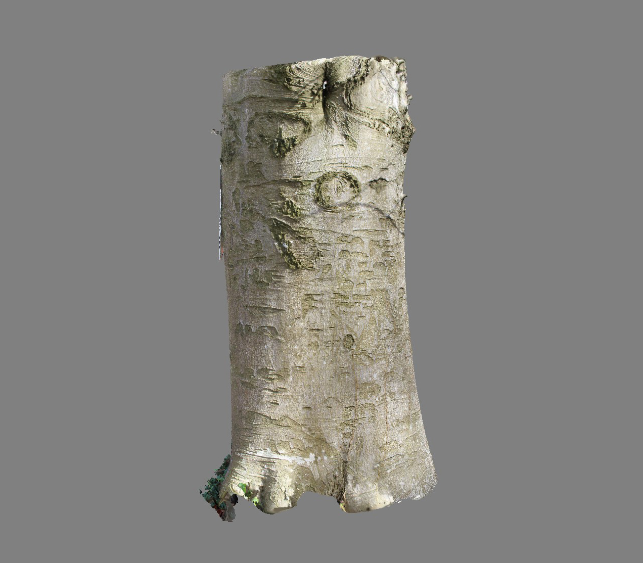Arboglyphes_Vittefleur_arbre_39