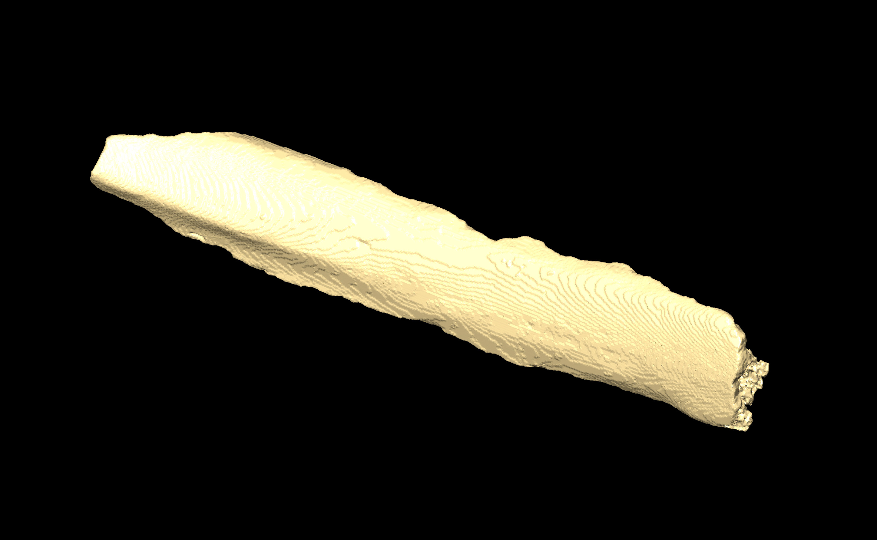 MNHN-HA-4320 (N° SV: 4320-12) Rib