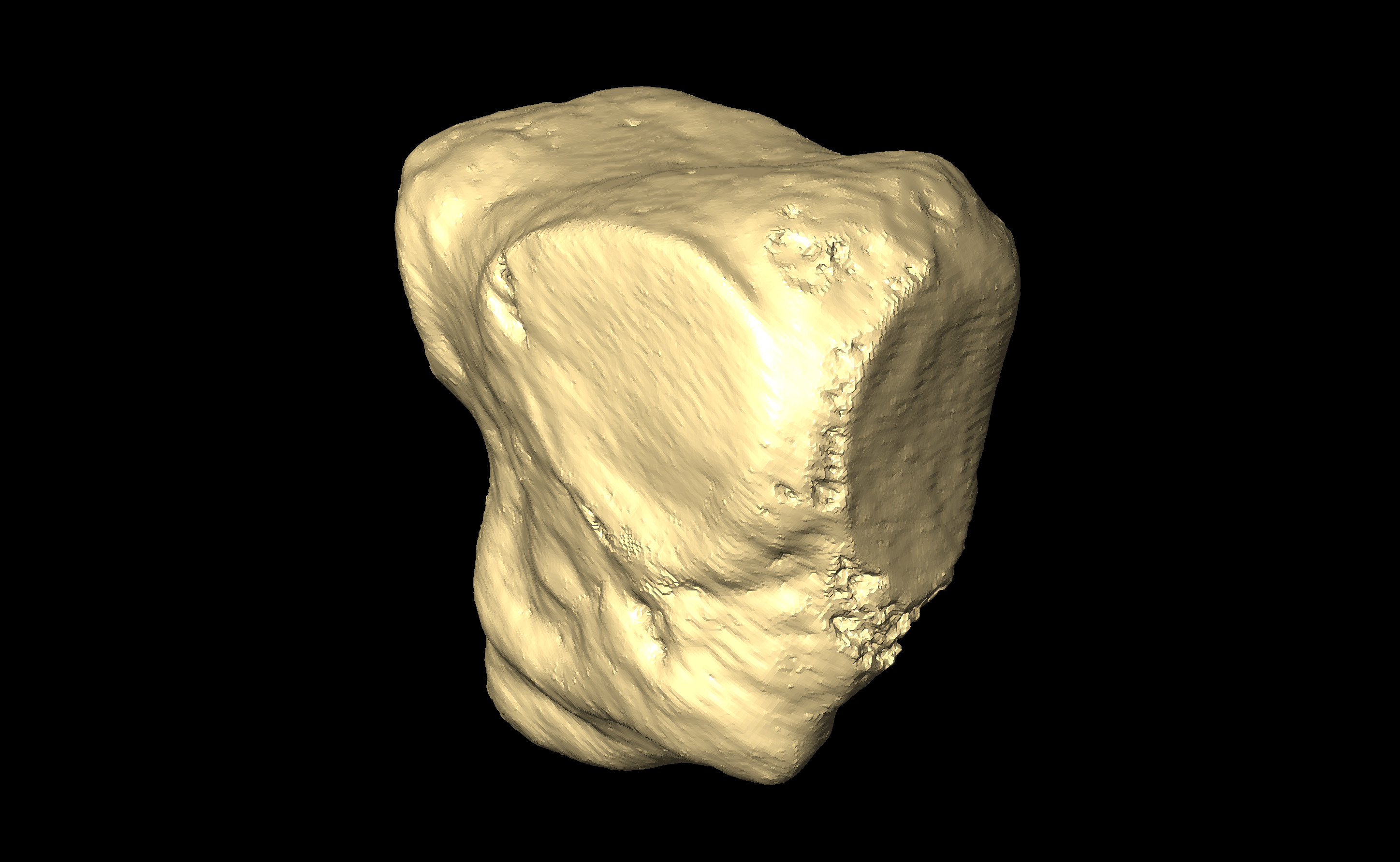 MNHN-HA-4343 Left Lateral Cuneiform